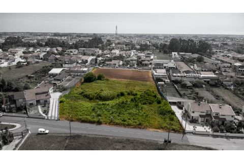 Helårsgrund i Aveiro, Aveiro, Aveiro - € 1.400.000 | Ref: KWPT-033435 - foto 13