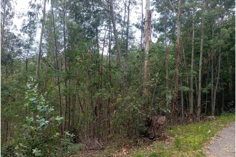 Helårsgrund i Coimbra, Coimbra, Coimbra - € 55.000 | Ref: KWPT-032683 - foto 4