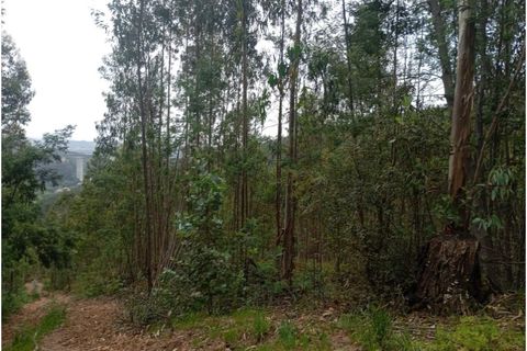 Helårsgrund i Coimbra, Coimbra, Coimbra - € 55.000 | Ref: KWPT-032683 - foto 5