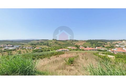 Helårsgrund i Cadaval, Lisbon, Cadaval - € 145.000 | Ref: TOP2702 - foto 10