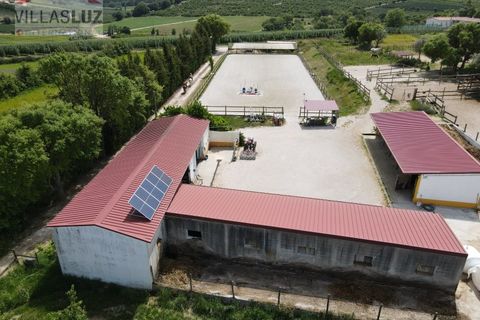 Farm i Alcobaca, Leiria, Alcobaca - € 875.000 | Ref: AO-QUIN-0007 - foto 1