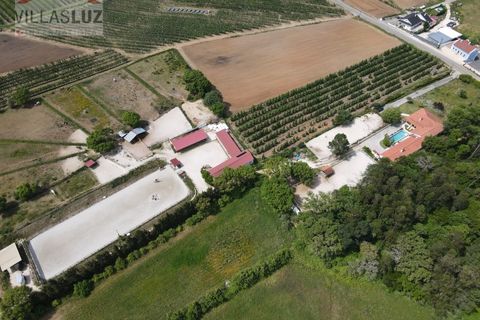 Farm i Alcobaca, Leiria, Alcobaca - € 875.000 | Ref: AO-QUIN-0007 - foto 3