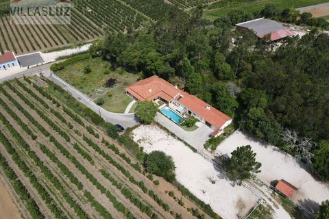 Farm i Alcobaca, Leiria, Alcobaca - € 875.000 | Ref: AO-QUIN-0007 - foto 4
