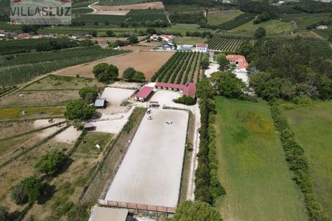 Farm i Alcobaca, Leiria, Alcobaca - € 875.000 | Ref: AO-QUIN-0007 - foto 5