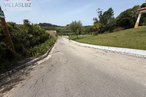 Farm i Alcobaca, Leiria, Alcobaca - € 875.000 | Ref: AO-QUIN-0007 - foto 10