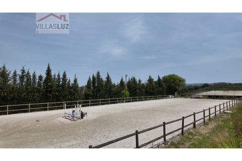 Farm i Alcobaca, Leiria, Alcobaca - € 875.000 | Ref: AO-QUIN-0007 - foto 11