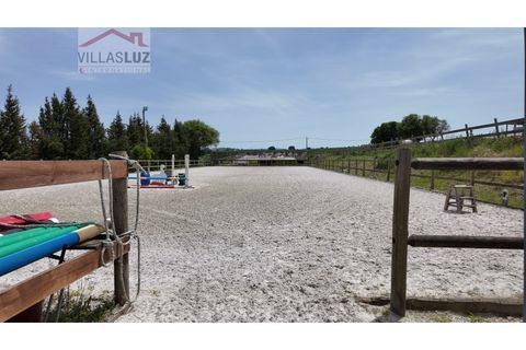 Farm i Alcobaca, Leiria, Alcobaca - € 875.000 | Ref: AO-QUIN-0007 - foto 12