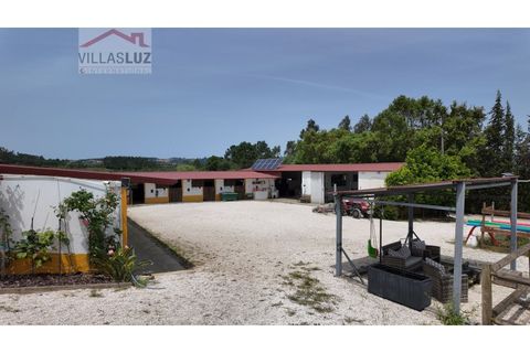 Farm i Alcobaca, Leiria, Alcobaca - € 875.000 | Ref: AO-QUIN-0007 - foto 13