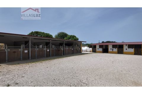 Farm i Alcobaca, Leiria, Alcobaca - € 875.000 | Ref: AO-QUIN-0007 - foto 14