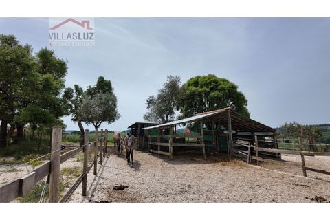 Farm i Alcobaca, Leiria, Alcobaca - € 875.000 | Ref: AO-QUIN-0007 - foto 16