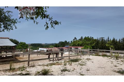 Farm i Alcobaca, Leiria, Alcobaca - € 875.000 | Ref: AO-QUIN-0007 - foto 18