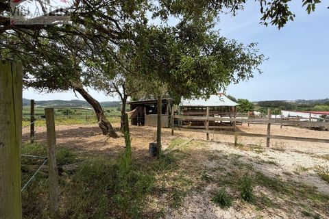Farm i Alcobaca, Leiria, Alcobaca - € 875.000 | Ref: AO-QUIN-0007 - foto 20
