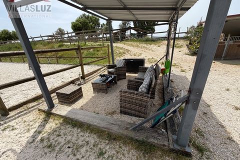 Farm i Alcobaca, Leiria, Alcobaca - € 875.000 | Ref: AO-QUIN-0007 - foto 21