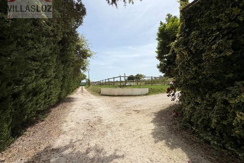 Farm i Alcobaca, Leiria, Alcobaca - € 875.000 | Ref: AO-QUIN-0007 - foto 22