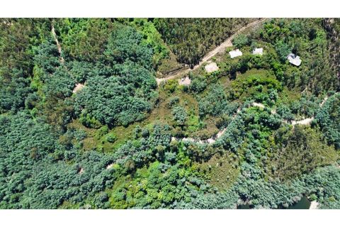 Helårsgrund i Arganil, Coimbra, Arganil - € 1.380.000 | Ref: TER_001_02COI - foto 5