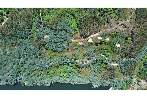 Helårsgrund i Arganil, Coimbra, Arganil - € 1.380.000 | Ref: TER_001_02COI - foto 6