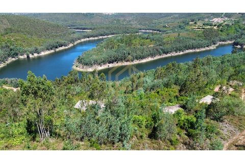 Helårsgrund i Arganil, Coimbra, Arganil - € 1.380.000 | Ref: TER_001_02COI - foto 7