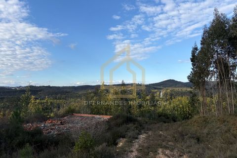 Helårsgrund i Arganil, Coimbra, Arganil - € 1.380.000 | Ref: TER_001_02COI - foto 15