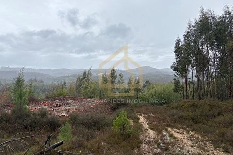 Helårsgrund i Arganil, Coimbra, Arganil - € 1.380.000 | Ref: TER_001_02COI - foto 16