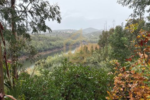 Helårsgrund i Arganil, Coimbra, Arganil - € 1.380.000 | Ref: TER_001_02COI - foto 17