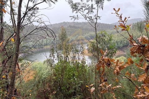 Helårsgrund i Arganil, Coimbra, Arganil - € 1.380.000 | Ref: TER_001_02COI - foto 18