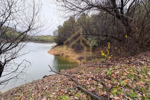 Helårsgrund i Arganil, Coimbra, Arganil - € 1.380.000 | Ref: TER_001_02COI - foto 19
