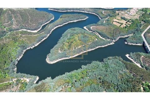 Helårsgrund i Arganil, Coimbra, Arganil - € 1.380.000 | Ref: TER_001_02COI - foto 9