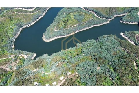 Helårsgrund i Arganil, Coimbra, Arganil - € 1.380.000 | Ref: TER_001_02COI - foto 25