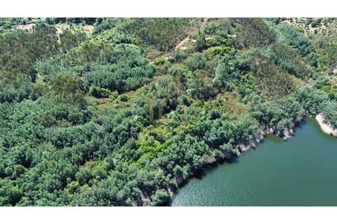 Helårsgrund i Arganil, Coimbra, Arganil - € 1.380.000 | Ref: TER_001_02COI - foto 26