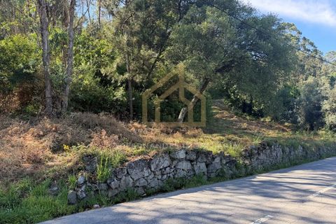 Grond in Campo e Tamel, Braga, Campo e Tamel - € 210.000 | Ref: SÒL_104_06BCL - foto 1