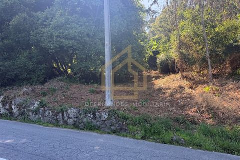 Grond in Campo e Tamel, Braga, Campo e Tamel - € 210.000 | Ref: SÒL_104_06BCL - foto 2
