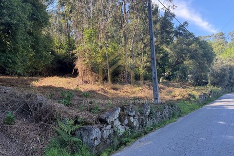 Grond in Campo e Tamel, Braga, Campo e Tamel - € 210.000 | Ref: SÒL_104_06BCL - foto 3