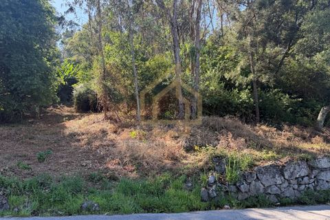 Grond in Campo e Tamel, Braga, Campo e Tamel - € 210.000 | Ref: SÒL_104_06BCL - foto 4