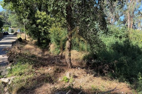 Grond in Campo e Tamel, Braga, Campo e Tamel - € 210.000 | Ref: SÒL_104_06BCL - foto 5
