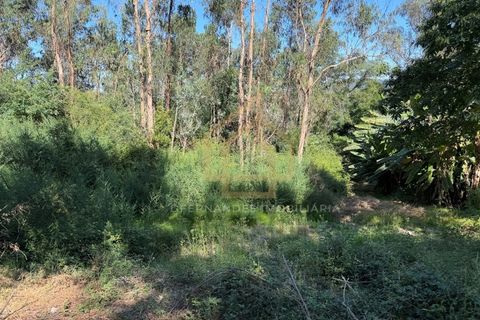 Grond in Campo e Tamel, Braga, Campo e Tamel - € 210.000 | Ref: SÒL_104_06BCL - foto 6
