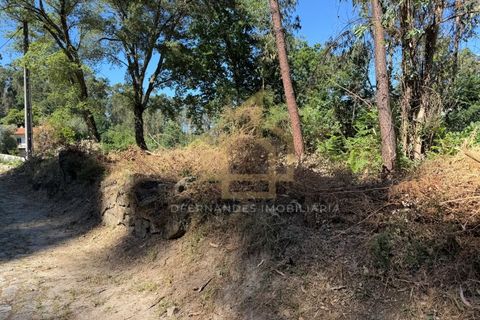 Grond in Campo e Tamel, Braga, Campo e Tamel - € 210.000 | Ref: SÒL_104_06BCL - foto 7