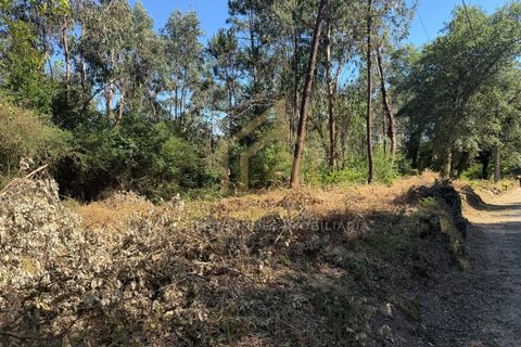Grond in Campo e Tamel, Braga, Campo e Tamel - € 210.000 | Ref: SÒL_104_06BCL - foto 8