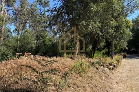 Grond in Campo e Tamel, Braga, Campo e Tamel - € 210.000 | Ref: SÒL_104_06BCL - foto 9