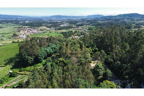 Grond in Campo e Tamel, Braga, Campo e Tamel - € 210.000 | Ref: SÒL_104_06BCL - foto 10