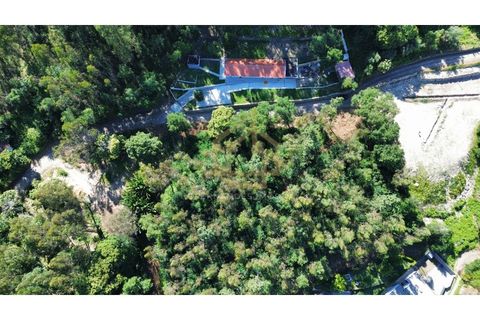 Grond in Campo e Tamel, Braga, Campo e Tamel - € 210.000 | Ref: SÒL_104_06BCL - foto 11