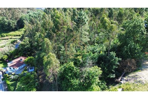 Grond in Campo e Tamel, Braga, Campo e Tamel - € 210.000 | Ref: SÒL_104_06BCL - foto 13