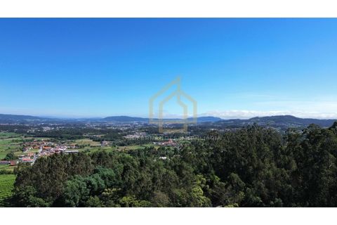 Grond in Campo e Tamel, Braga, Campo e Tamel - € 210.000 | Ref: SÒL_104_06BCL - foto 14