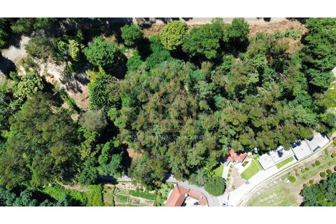 Grond in Campo e Tamel, Braga, Campo e Tamel - € 210.000 | Ref: SÒL_104_06BCL - foto 15