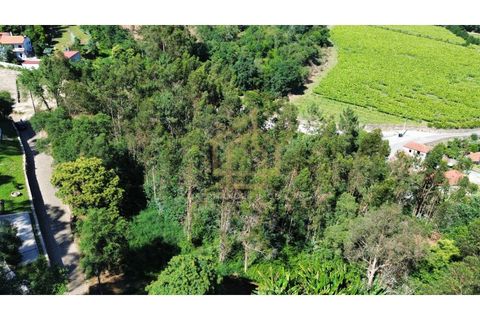 Grond in Campo e Tamel, Braga, Campo e Tamel - € 210.000 | Ref: SÒL_104_06BCL - foto 16