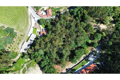 Grond in Campo e Tamel, Braga, Campo e Tamel - € 210.000 | Ref: SÒL_104_06BCL - foto 18