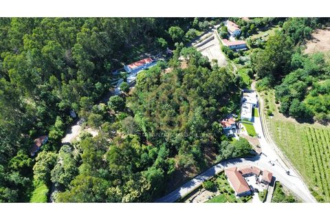 Grond in Campo e Tamel, Braga, Campo e Tamel - € 210.000 | Ref: SÒL_104_06BCL - foto 19