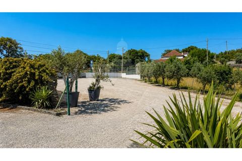 Helårsgrund i Ourem, Santarem, Ourem - € 85.000 | Ref: SÒL_199 - foto 5