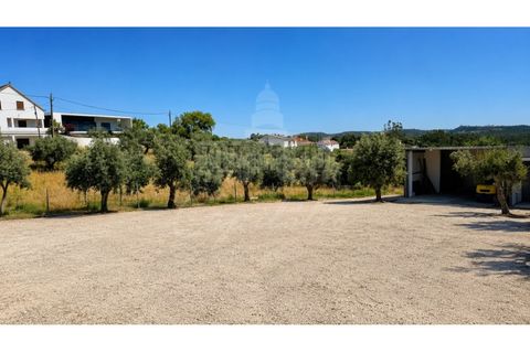 Helårsgrund i Ourem, Santarem, Ourem - € 85.000 | Ref: SÒL_199 - foto 10