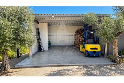 Helårsgrund i Ourem, Santarem, Ourem - € 85.000 | Ref: SÒL_199 - foto 12