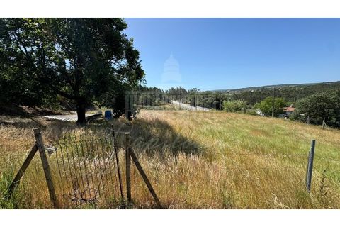 Helårsgrund i Ourem, Santarem, Ourem - € 55.000 | Ref: SÒL_200 - foto 7